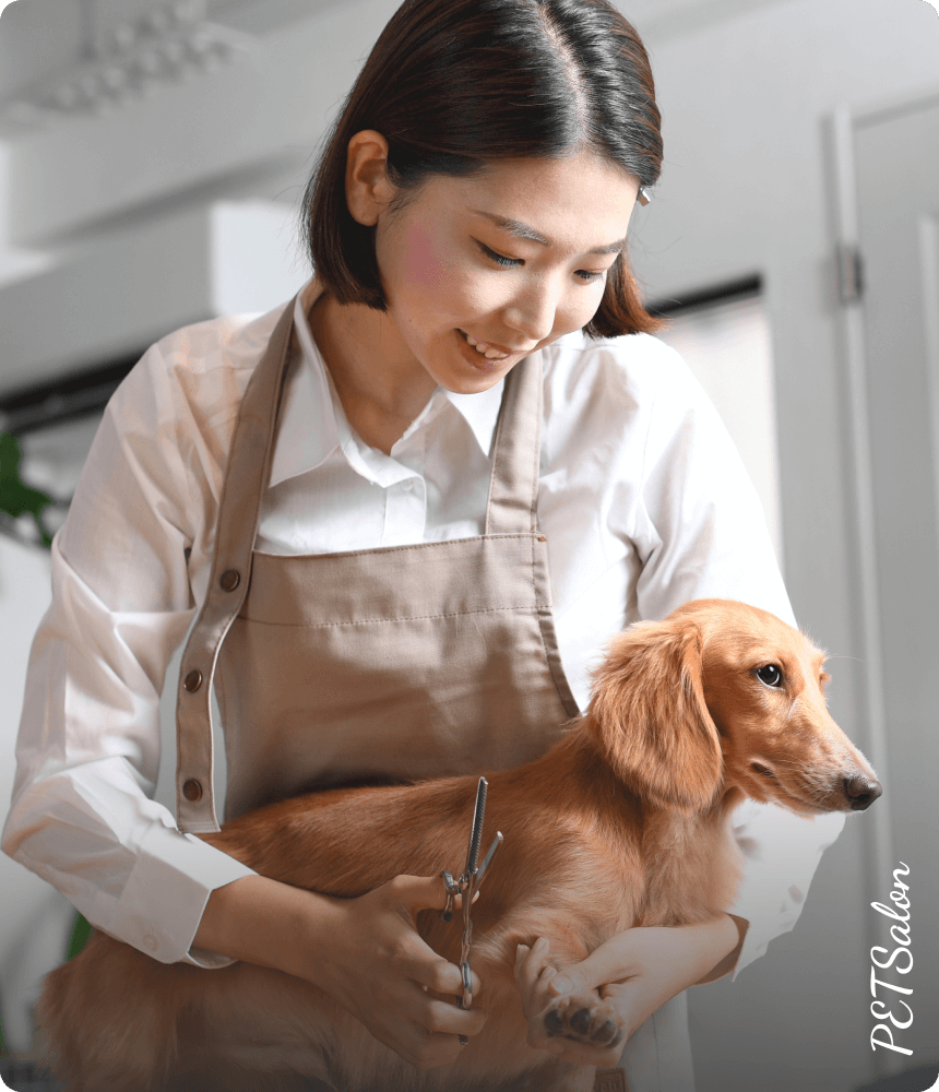 PET Salon