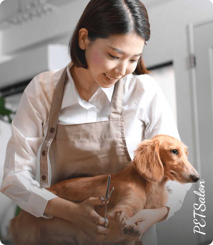 PET Salon